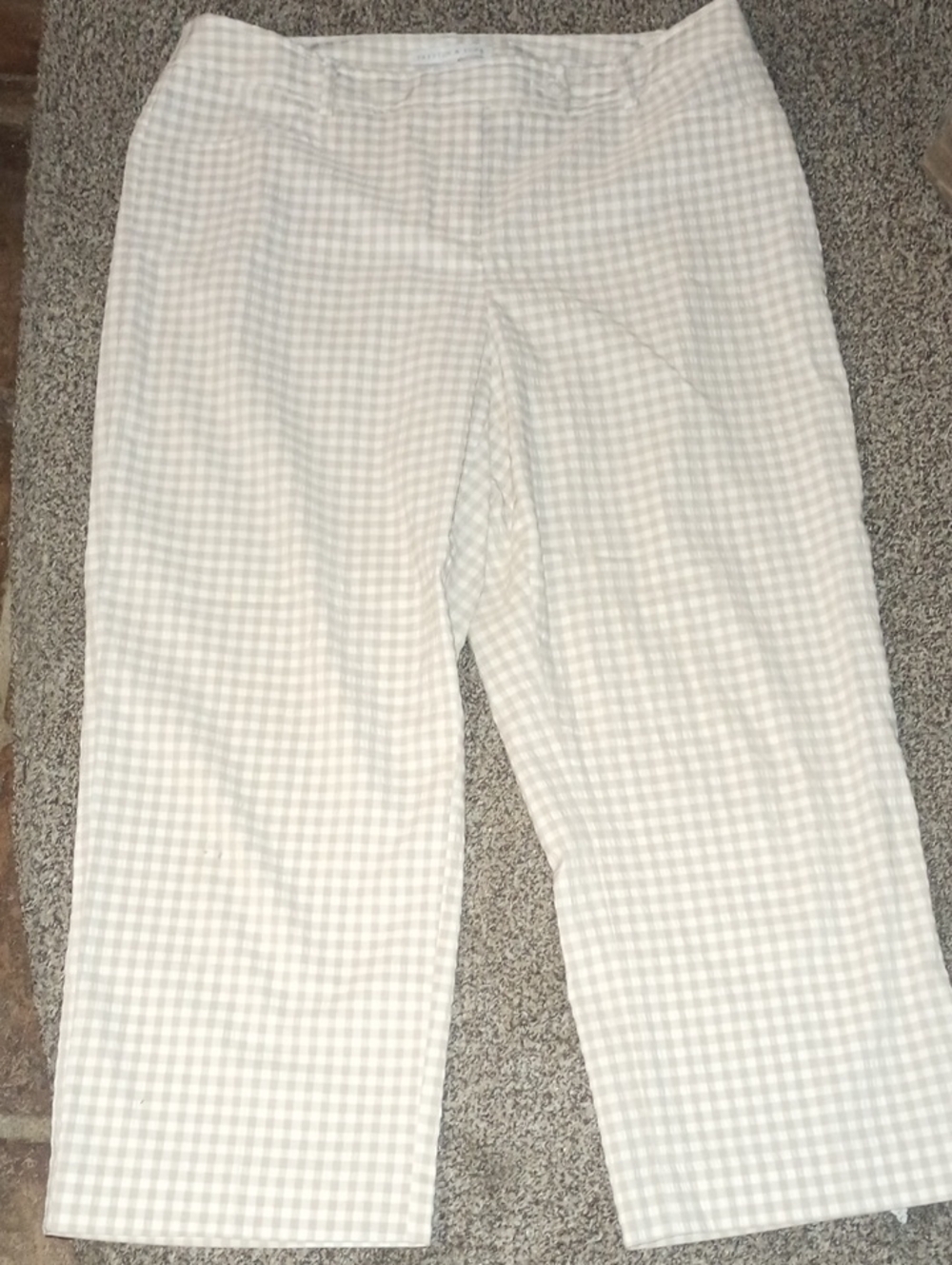 Preston & York Beige and Cream Gingham Skirt